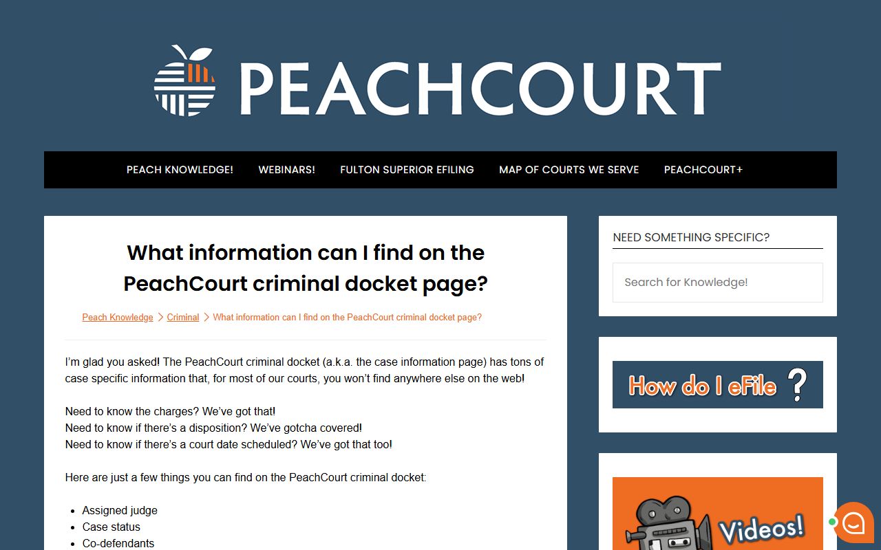 Towns County court dockets PeachCourt criminal docket field guide