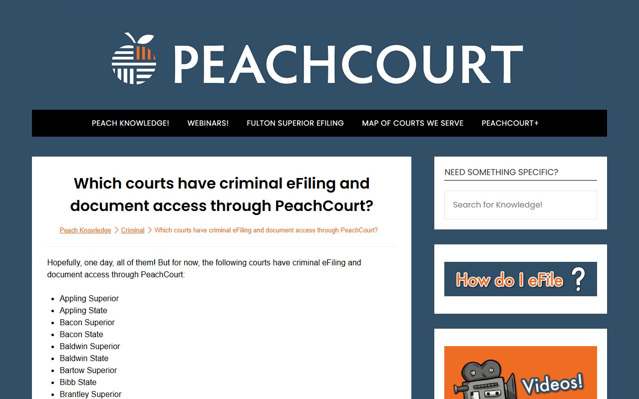 Towns County court dockets PeachCourt criminal access listing