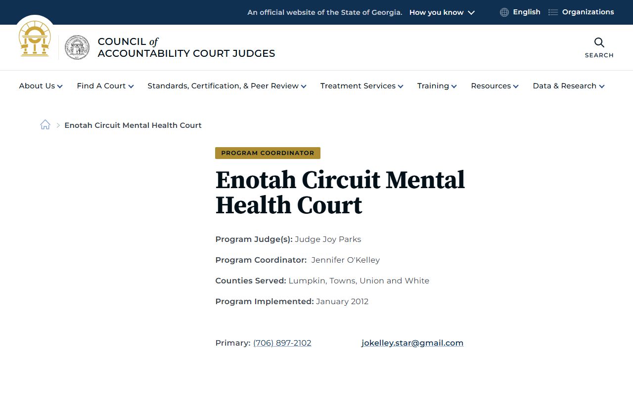 Towns County criminal court records Enotah Circuit Mental Health Court