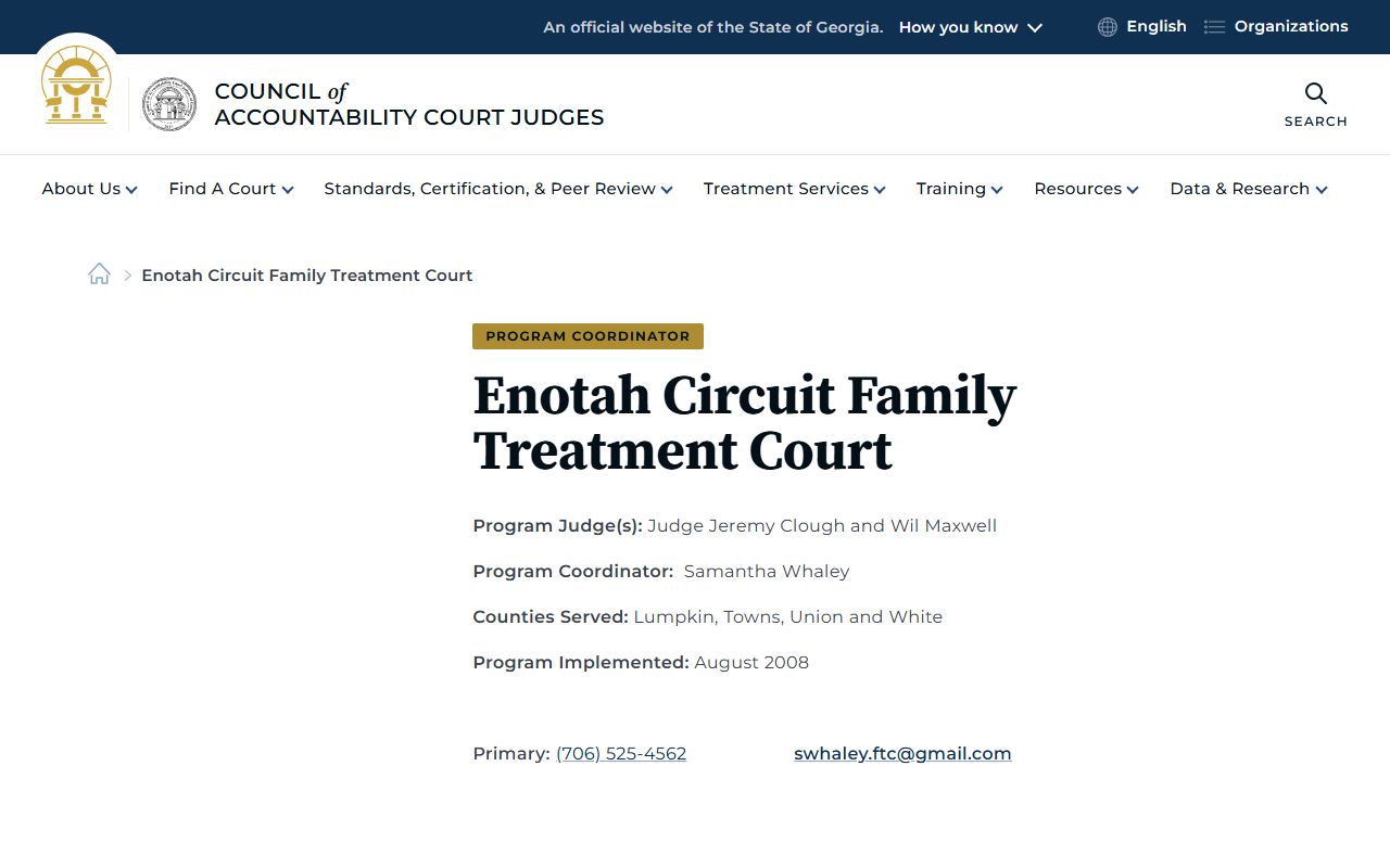 Towns County criminal court records Enotah Circuit Family Treatment Court