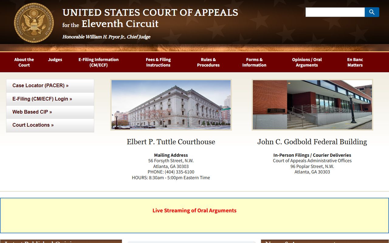 Towns County Superior Court federal Eleventh Circuit appeal route